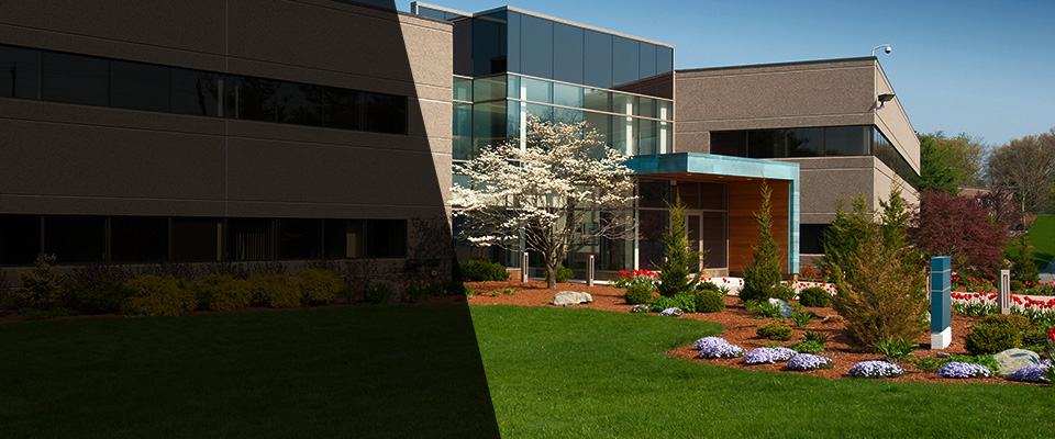 Freeland Landscapers